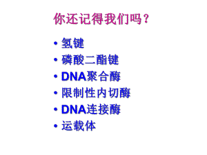 DNA重组技术的基本工具(PPT-47页)课件.pptx