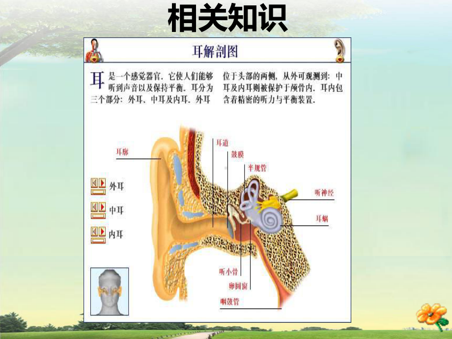 鼓膜穿孔副本讲课课件.pptx_第2页