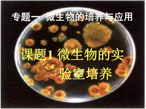 专题1微生物的实验室培养与应用课件.ppt