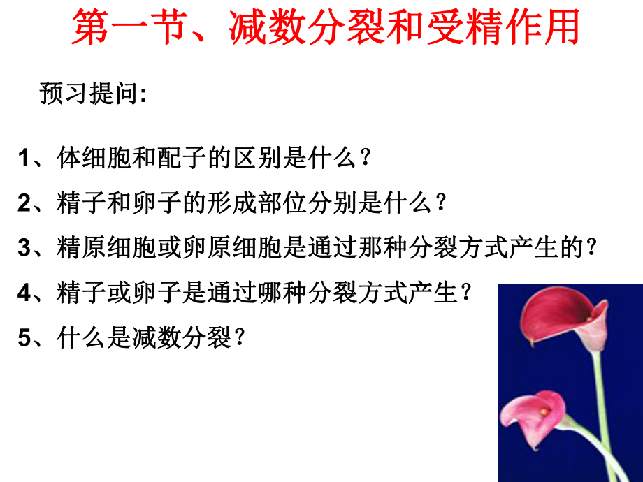 《生物学》减数分裂和受精作用课件.ppt_第2页