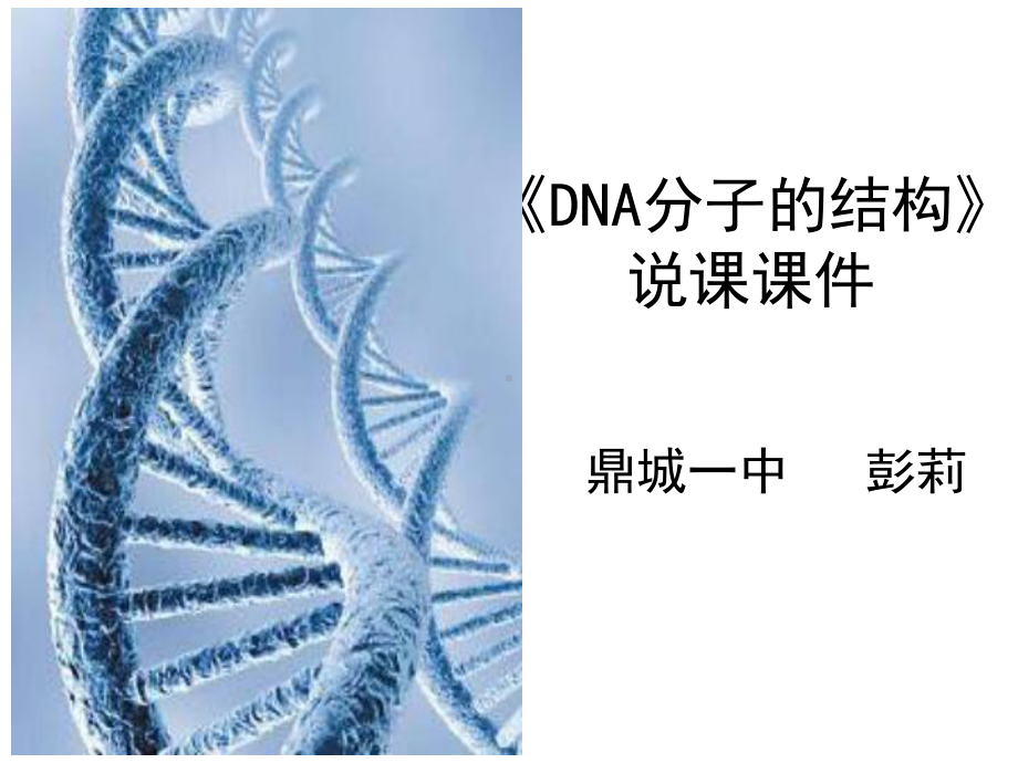 《DNA分子的结构》说课比赛：DNA分子的结构说课课件正式版.ppt_第1页