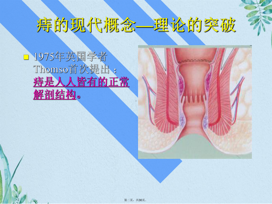 PPH—治疗痔疮的新技术(共30张PPT)课件.pptx_第2页