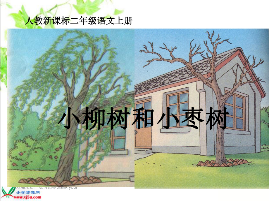 -小柳树和小枣树1教学课件.ppt_第1页