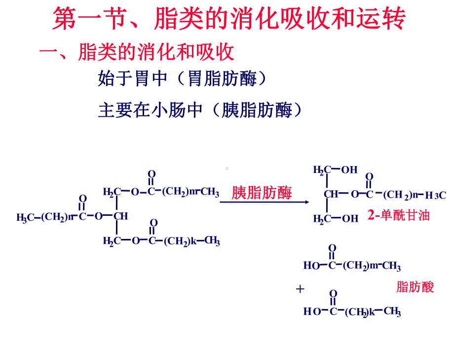 《生物化学》脂肪酸的分解代谢课件.ppt_第3页