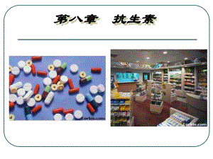 β-内酰胺类抗生素概要课件.ppt