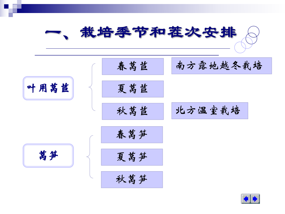 02第二节莴苣课件.ppt_第3页