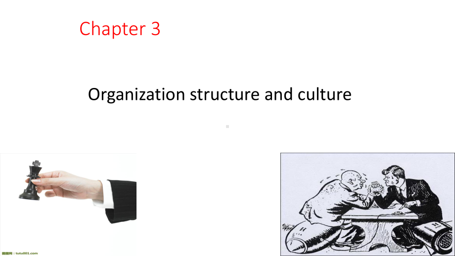 《项目管理》chapter-3-organization-structure-and-culture课件.ppt_第2页