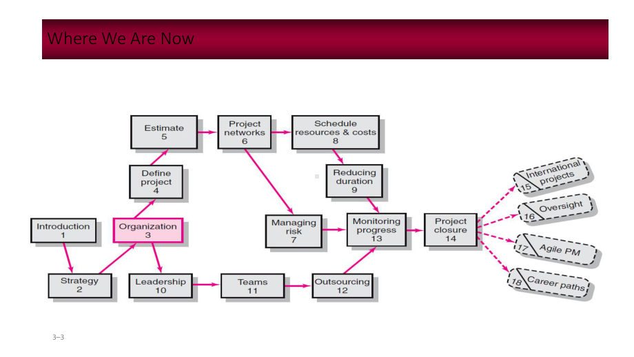 《项目管理》chapter-3-organization-structure-and-culture课件.ppt_第3页