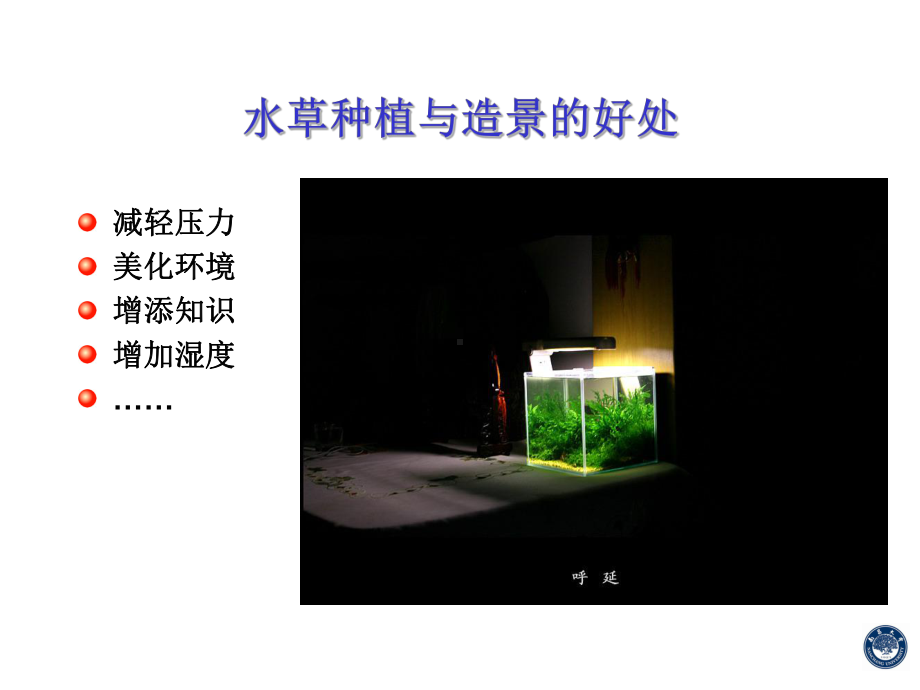 (完整版)水草种植与造景-Chapter课件1.ppt_第3页