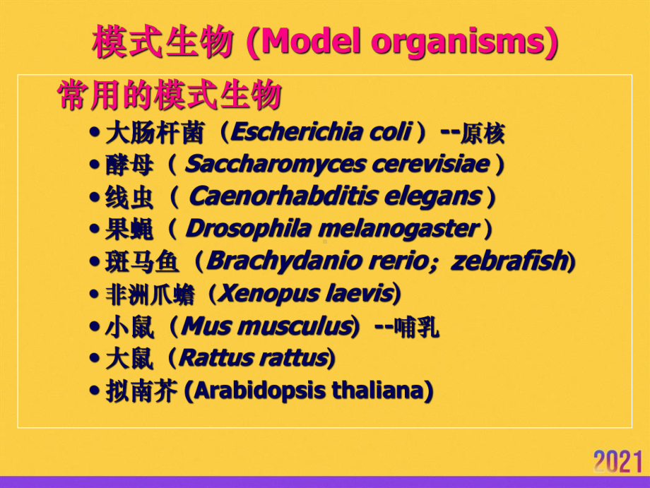 发育生物学发育生物学模式生物全套课件.ppt_第2页