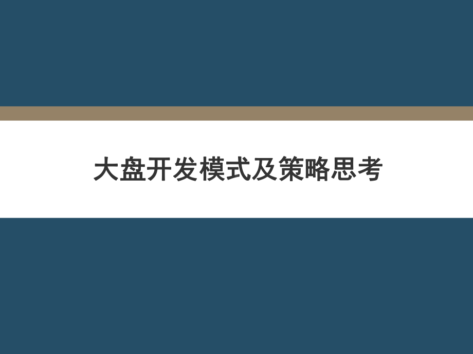 大盘开发模式及策略思考.课件.ppt_第1页