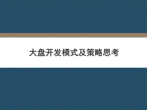 大盘开发模式及策略思考.课件.ppt