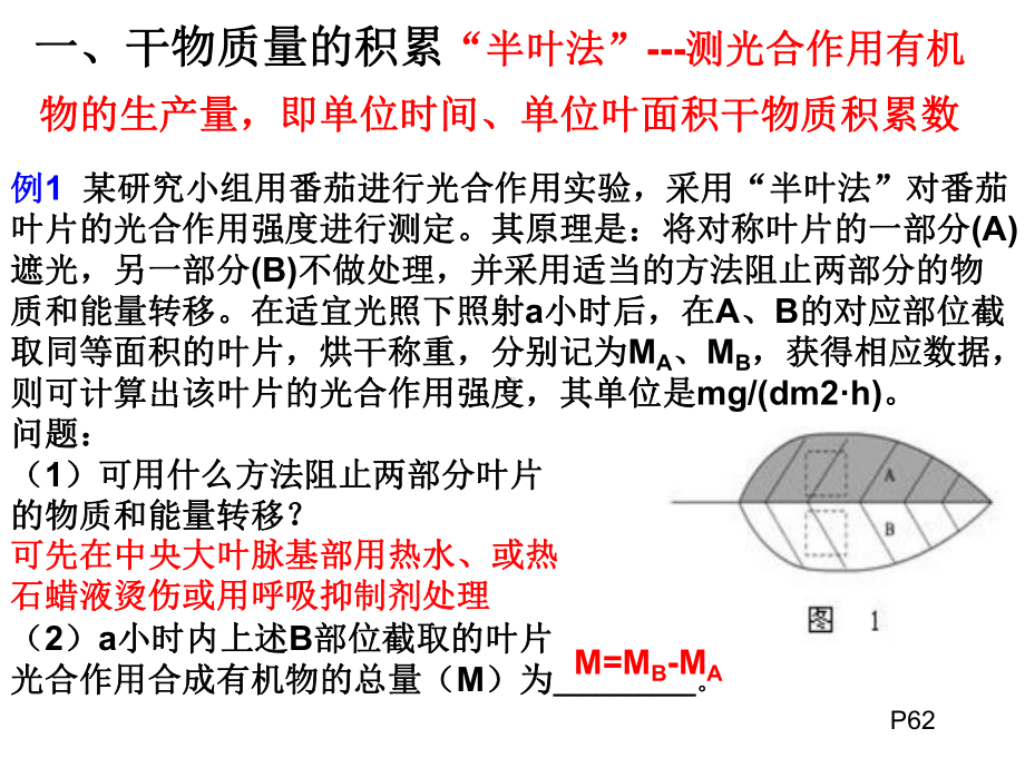 也可以用单位时间单位叶面积有机物的积累量来表示课件.ppt_第3页