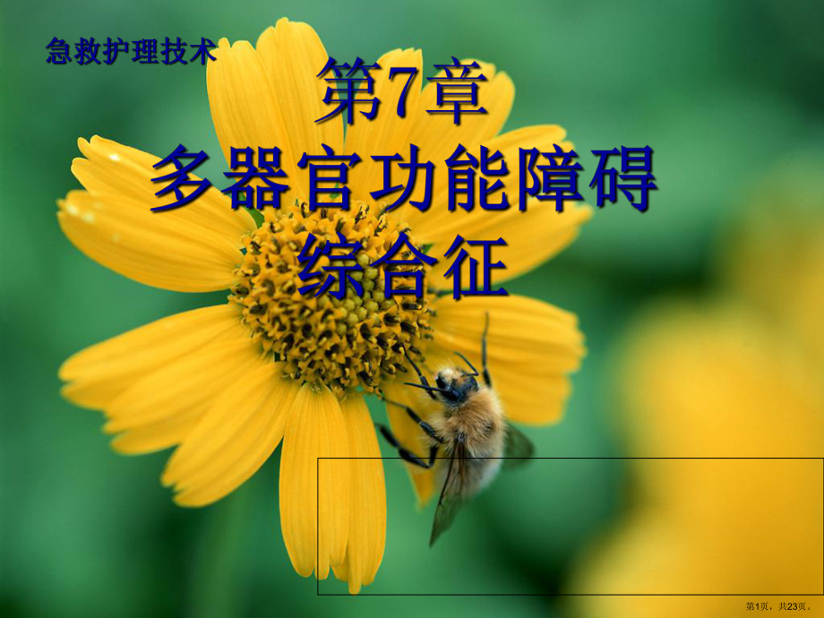 多器官功能障碍综合症病人的护理课件2.ppt_第1页