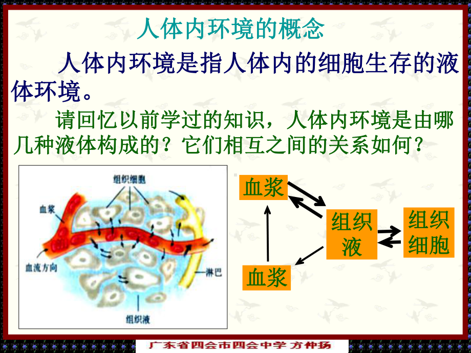 人体内环境的稳态正式版课件.ppt_第2页