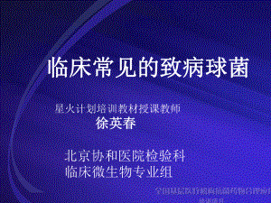 临床常见的致病球菌-共65页课件.ppt