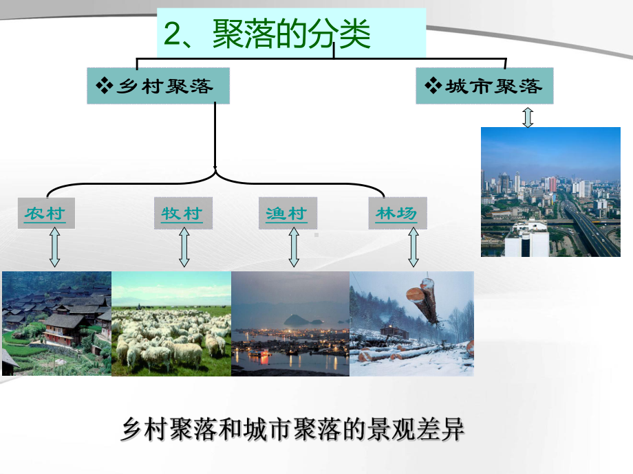 人类的居住地—聚落课件.ppt_第3页