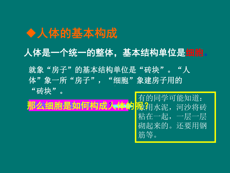 婴幼儿的身体特点课件.ppt_第3页