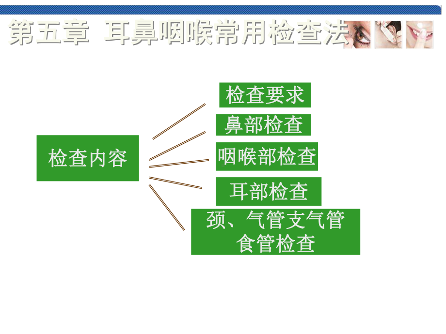 五官科学-第五章耳鼻咽喉常用检查法课件.ppt_第3页