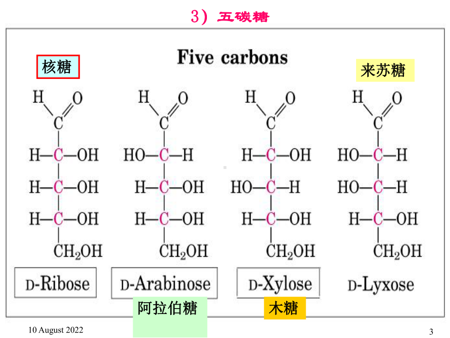 五、重要的单糖和单糖衍生物课件.ppt_第3页