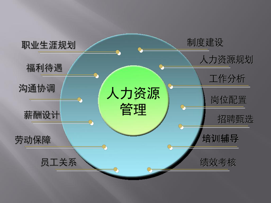 人力资源管理职业素养与技能实务(ppt)课件.ppt_第2页