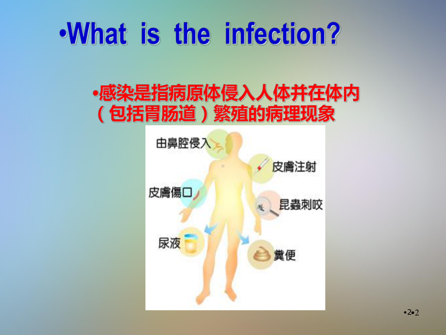 医院感染诊断标准及暴发报告及处置管理规范课件.pptx_第2页