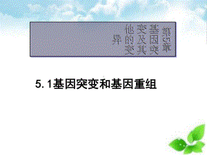 基因突变和基因重组ppt课件(自制)10.ppt