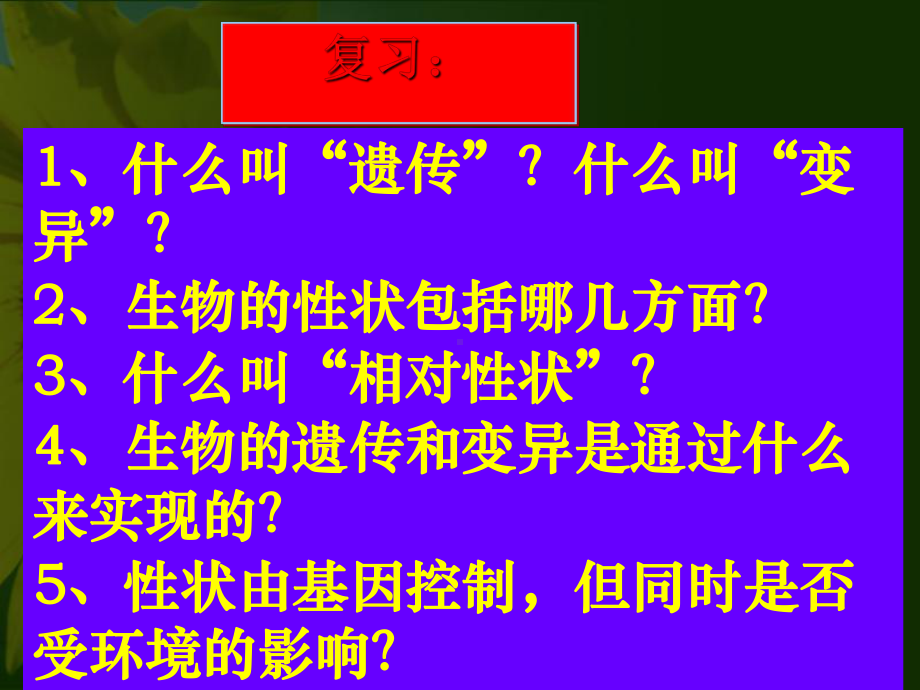 基因在亲子代间的传递全面版课件.ppt_第1页