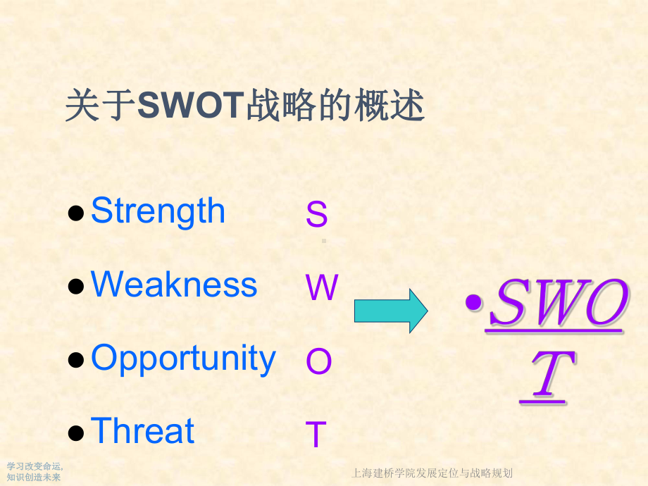 发展定位与战略规划课件.ppt_第2页