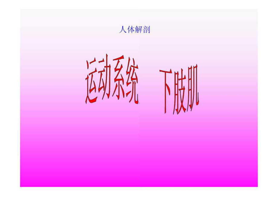 人体解剖-骨骼肌-下肢肌.ppt-PPT课件.ppt_第1页