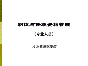 国内名企职业与任职资格管理汇编课件.ppt