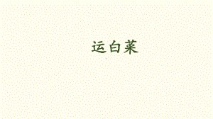 北师大版《运白菜》PPT公开课课件.pptx