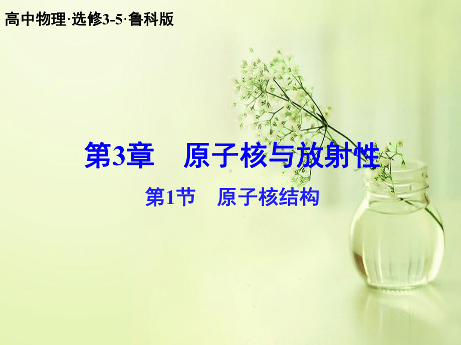 原子核结构PPT教学课件.ppt_第1页