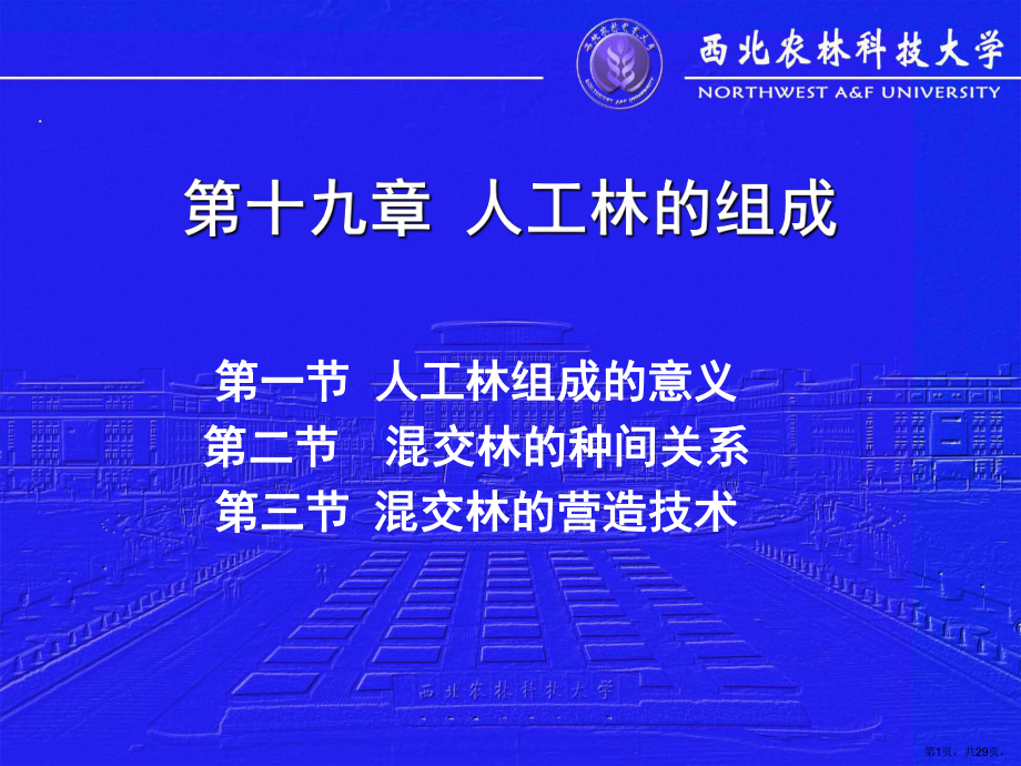 人工林的组成课件.ppt_第1页