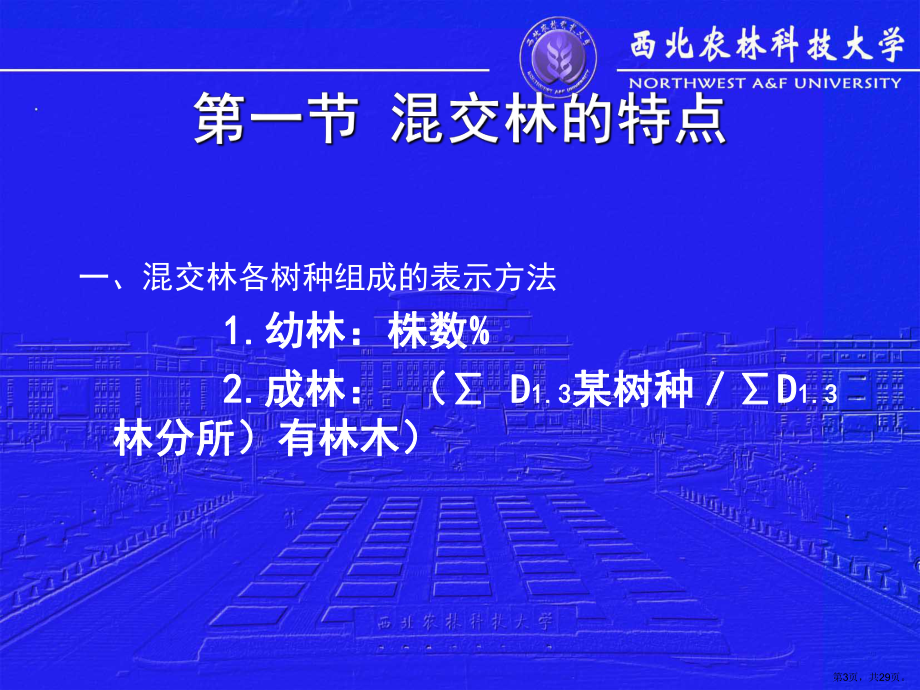 人工林的组成课件.ppt_第3页