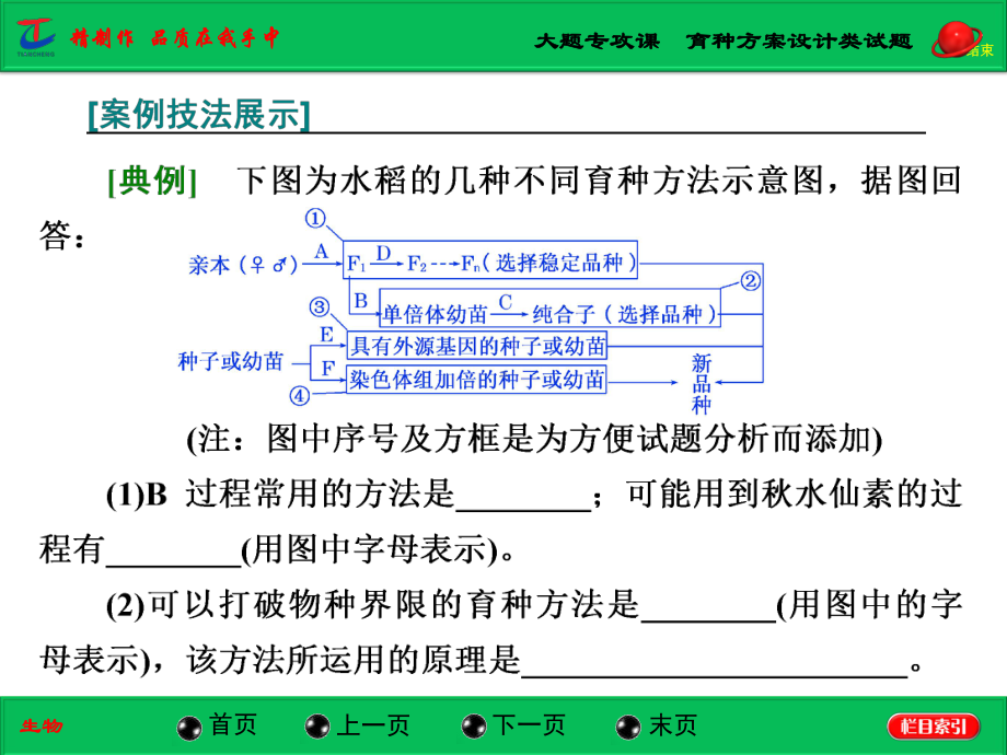 大题专攻课育种方案设计类试题课件.ppt_第3页