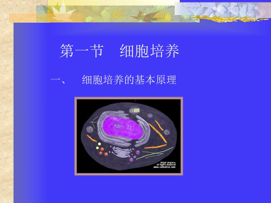 口腔细菌的培养及应用.课件.ppt_第2页