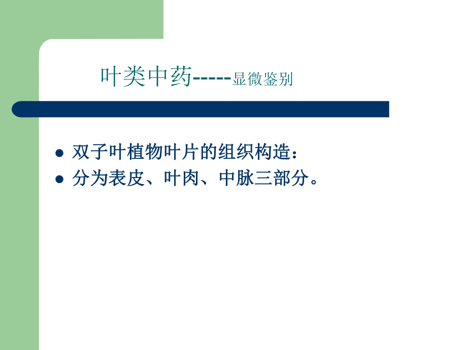 中药鉴定学：叶类中药课件.ppt_第3页