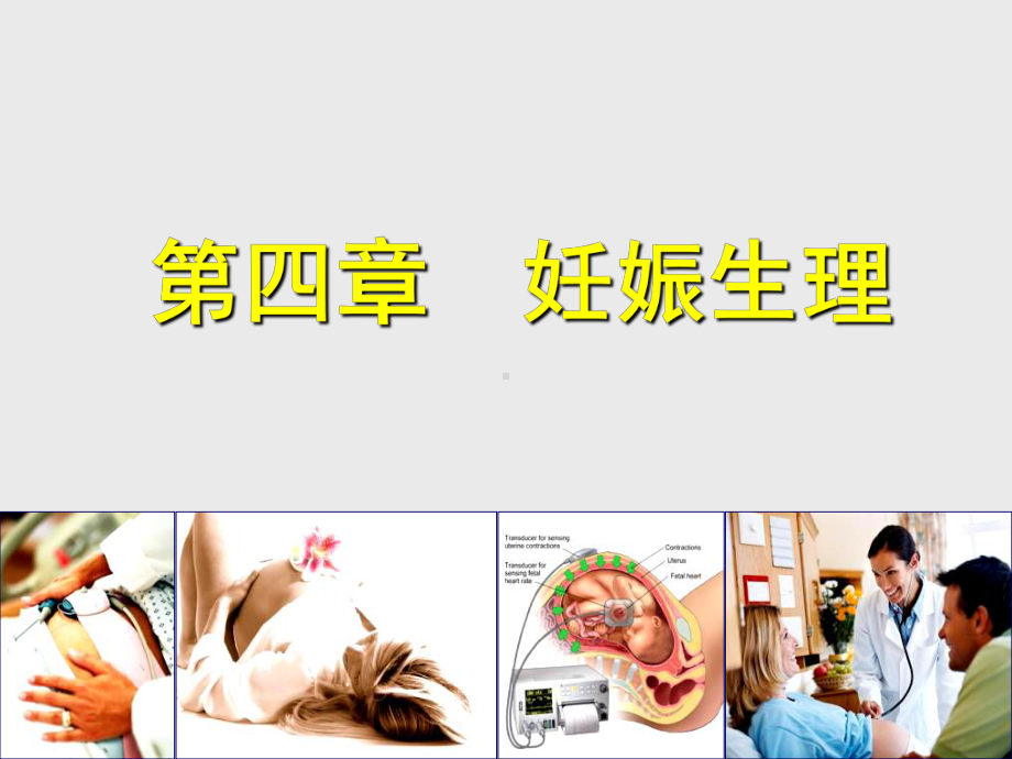 临床妇产科学第四章妊娠期生理课件.ppt_第1页