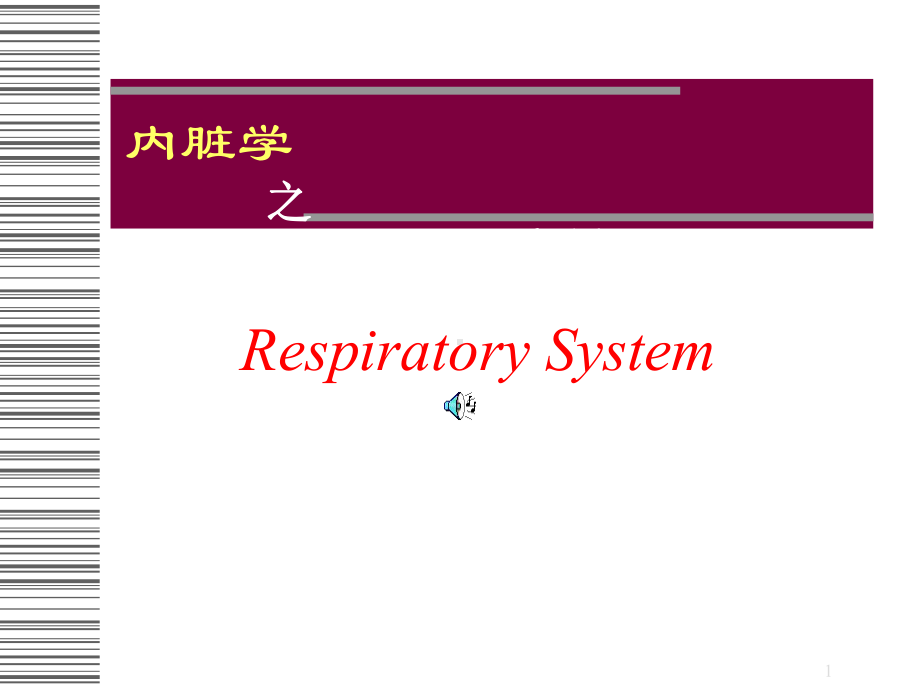 呼吸系统解剖学和组织胚胎学系课件.ppt_第1页