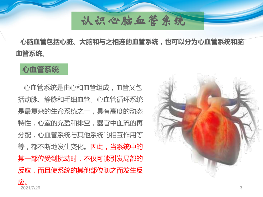 地龙蛋白课件.ppt_第3页