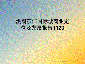 国际城商业定位及发展报告1123课件.ppt