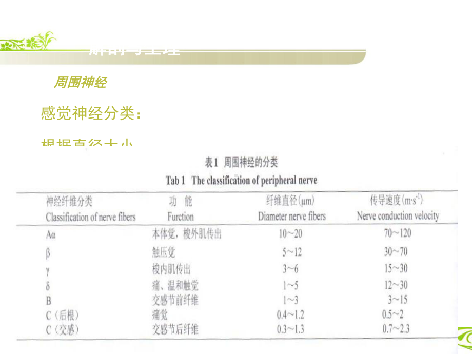 周围神经病及其诊疗流程课件.ppt_第3页