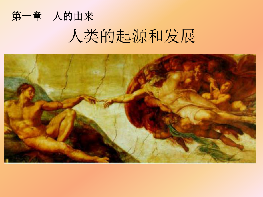 人类的起源和发展(人教版)全面版课件.ppt_第1页