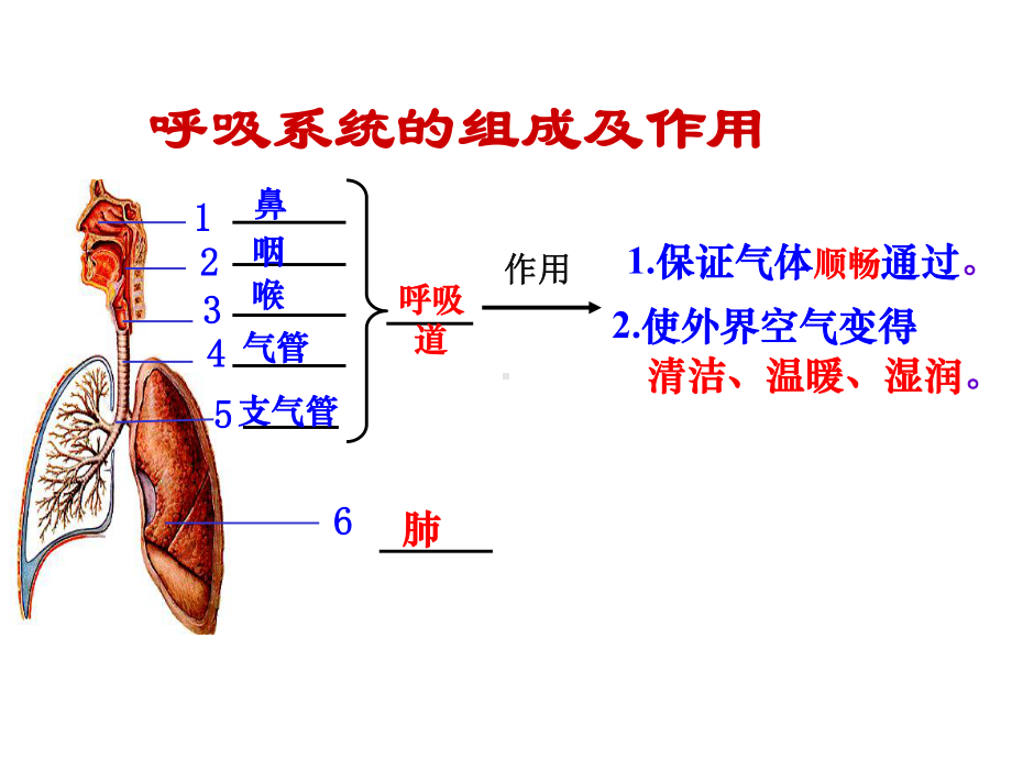 人教版发生在肺内的气体交换课件.ppt_第3页