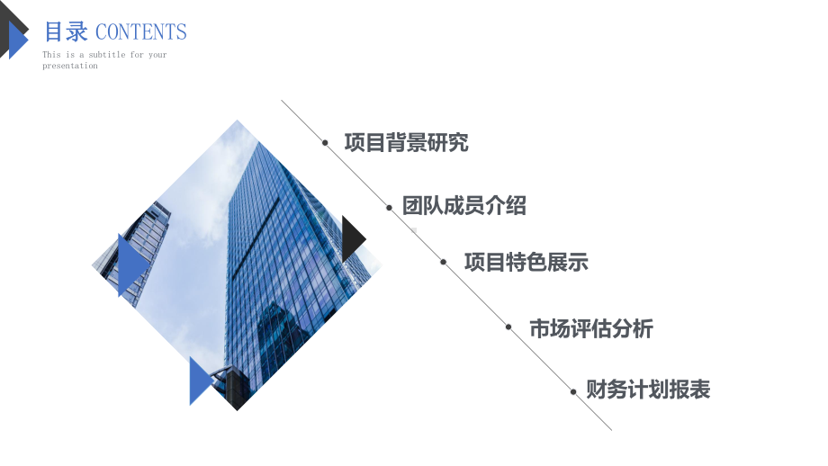 企业合伙人策划书-PPT-模板.pptx_第2页