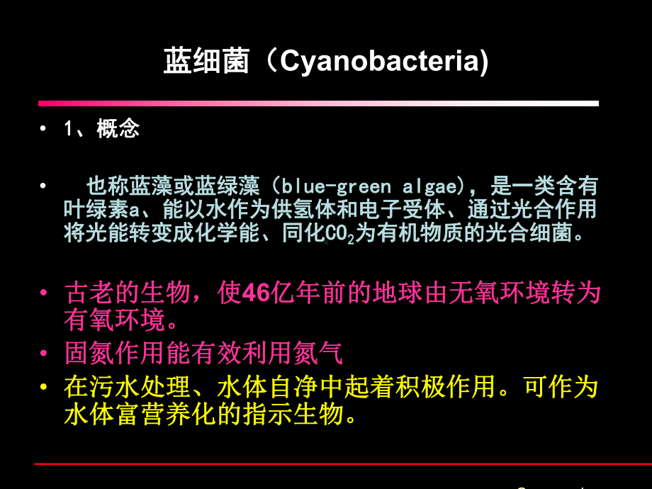 原核微生物之蓝细菌和古菌36张幻灯片.ppt_第2页