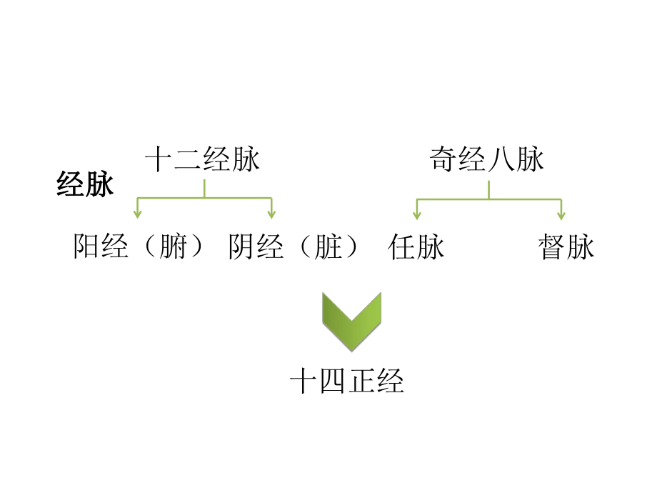 子午流注养生-PPT课件.ppt_第3页