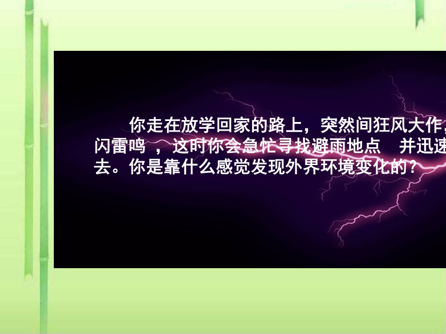 人体的感知信息ppt1-苏教版(同名820)课件.ppt_第2页