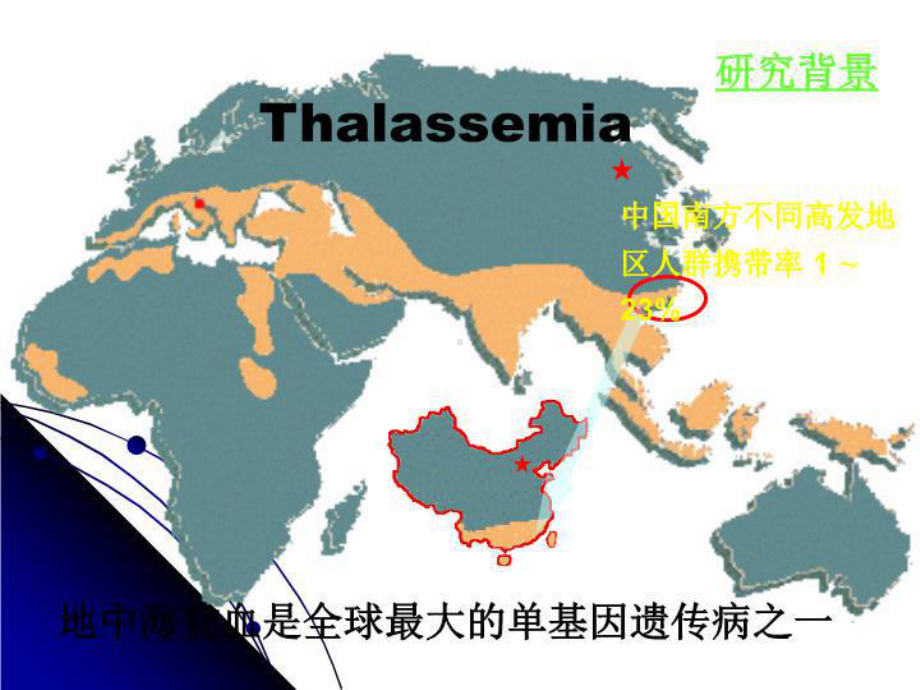 地中海贫血分子基础及产前诊断课件.ppt_第3页